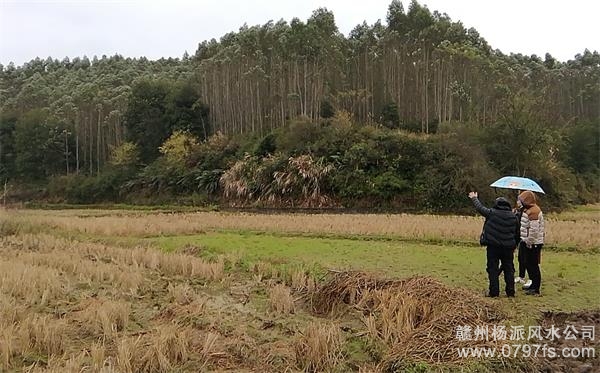 静海区陈老师带着爱徒寻龙点穴